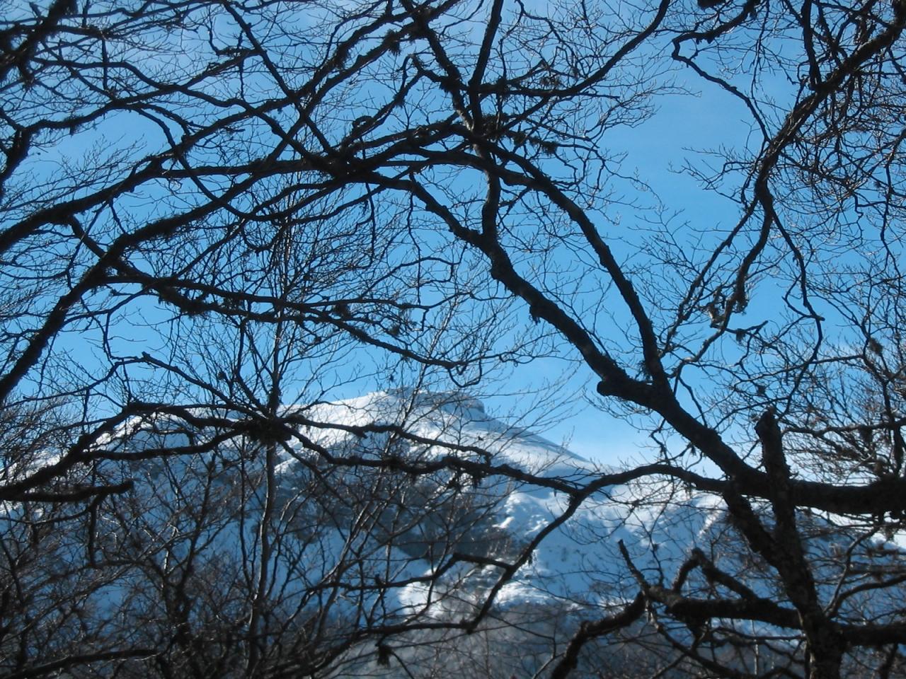 Puy de la Tourte