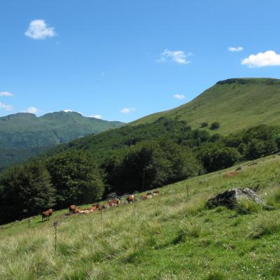 Vue du Cros Chaumeil