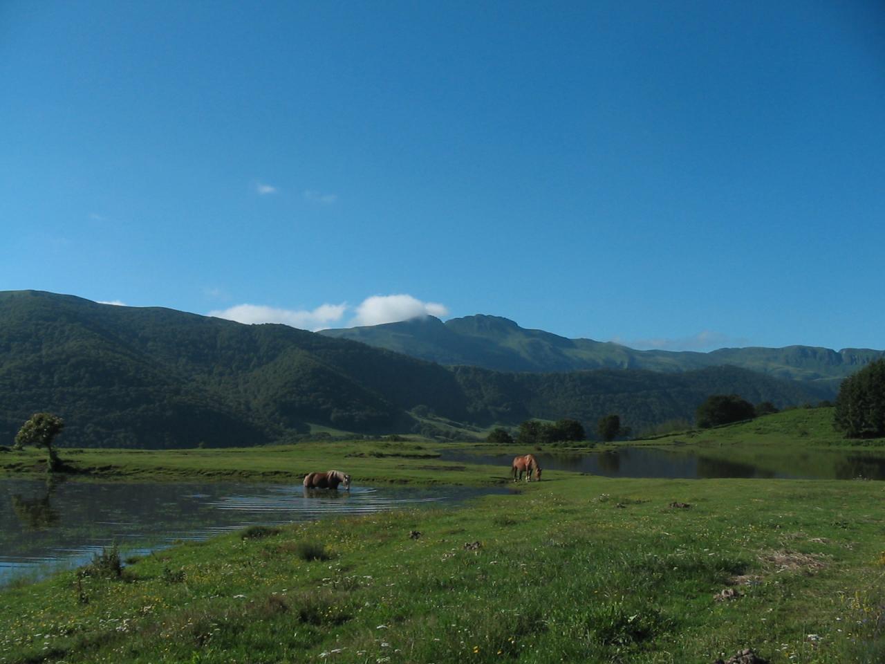 Plateau de Lascout